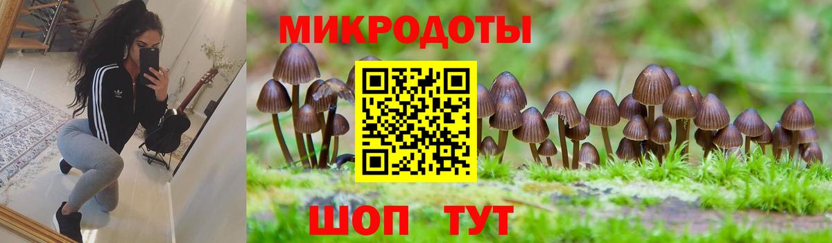 Псилоцибиновые грибы Cubensis Славянск-на-Кубани